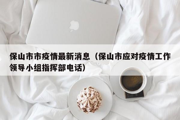 保山市市疫情最新消息(保山市应对疫情工作领导小组指挥部电话)