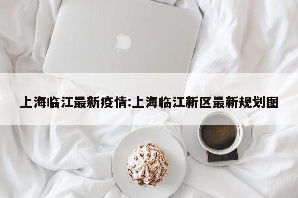 上海临江最新疫情:上海临江新区最新规划图