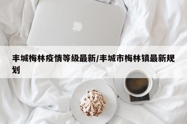 丰城梅林疫情等级最新/丰城市梅林镇最新规划